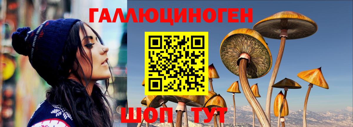 Галлюциногенные грибы Magic Shrooms  наркотики  Аксай  Псилоцибиновые грибы прущие грибы  Вход с VPN 